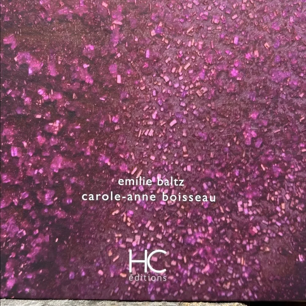 L.O.V.E. Foodbook by Emilie Baltz Cook Book in French Language Signed